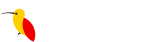 footerLogo